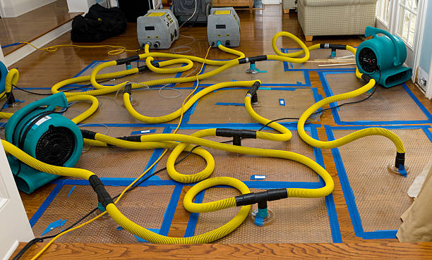 Professional Crawl Space Water Removal technician working in East Waterboro, ME